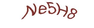 عبارت امنیتی