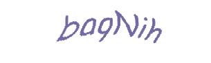 عبارت امنیتی