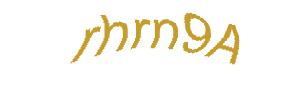 عبارت امنیتی
