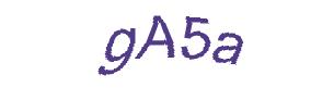 عبارت امنیتی