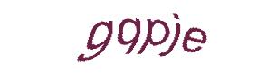 عبارت امنیتی