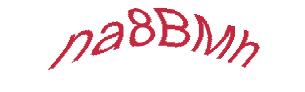 عبارت امنیتی