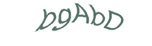 عبارت امنیتی