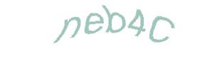 عبارت امنیتی