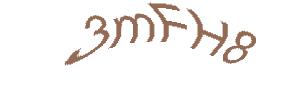 عبارت امنیتی