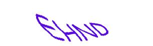 عبارت امنیتی