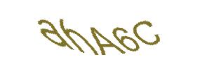 عبارت امنیتی