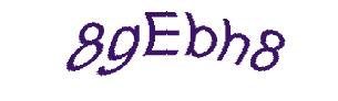 عبارت امنیتی