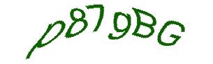 عبارت امنیتی