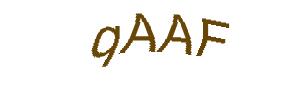 عبارت امنیتی
