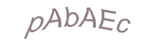عبارت امنیتی