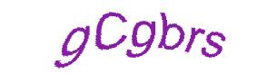 عبارت امنیتی