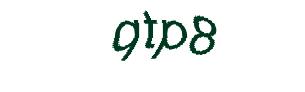 عبارت امنیتی