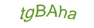 عبارت امنیتی