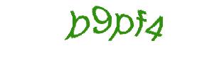 عبارت امنیتی