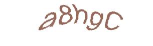 عبارت امنیتی