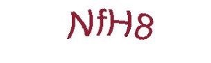 عبارت امنیتی