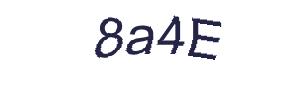 عبارت امنیتی