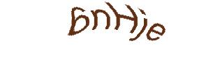 عبارت امنیتی