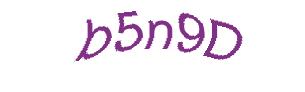 عبارت امنیتی