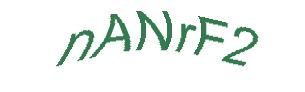 عبارت امنیتی