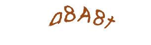 عبارت امنیتی