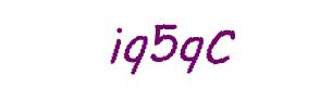 عبارت امنیتی