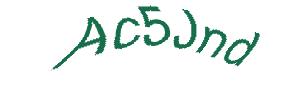 عبارت امنیتی