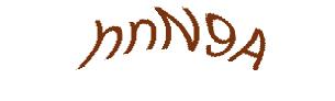 عبارت امنیتی