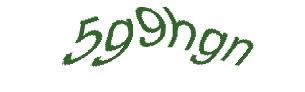 عبارت امنیتی