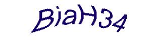 عبارت امنیتی