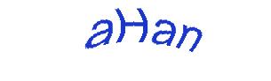 عبارت امنیتی