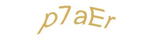 عبارت امنیتی