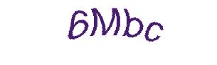 عبارت امنیتی
