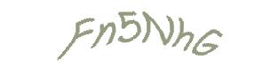 عبارت امنیتی
