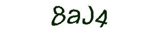 عبارت امنیتی