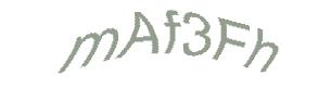 عبارت امنیتی