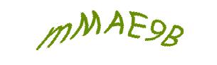 عبارت امنیتی