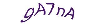 عبارت امنیتی