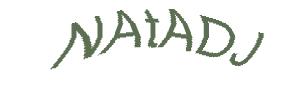 عبارت امنیتی