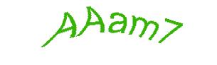 عبارت امنیتی