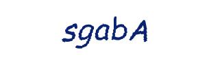 عبارت امنیتی