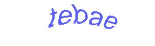عبارت امنیتی