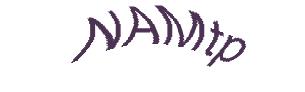 عبارت امنیتی