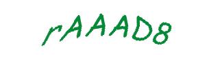 عبارت امنیتی