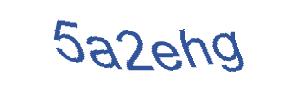 عبارت امنیتی