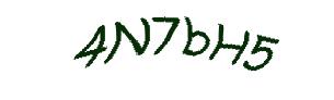 عبارت امنیتی