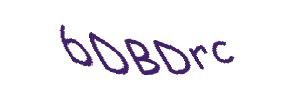 عبارت امنیتی