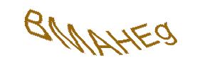 عبارت امنیتی