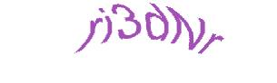 عبارت امنیتی